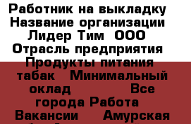 Работник на выкладку › Название организации ­ Лидер Тим, ООО › Отрасль предприятия ­ Продукты питания, табак › Минимальный оклад ­ 29 700 - Все города Работа » Вакансии   . Амурская обл.,Архаринский р-н